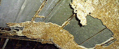 Image of Asbestos