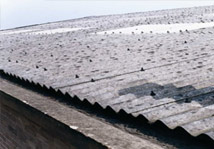 Abestos on Roofs